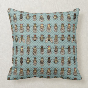Drosophila Fruit Fly Genetics - mutants Cushion