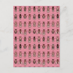 Drosophila Fruit Fly Genetics - mutants - Pink Postcard