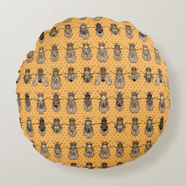 Drosophila Fruit Fly Genetics - mutants -Tangerine Round Cushion (Front)