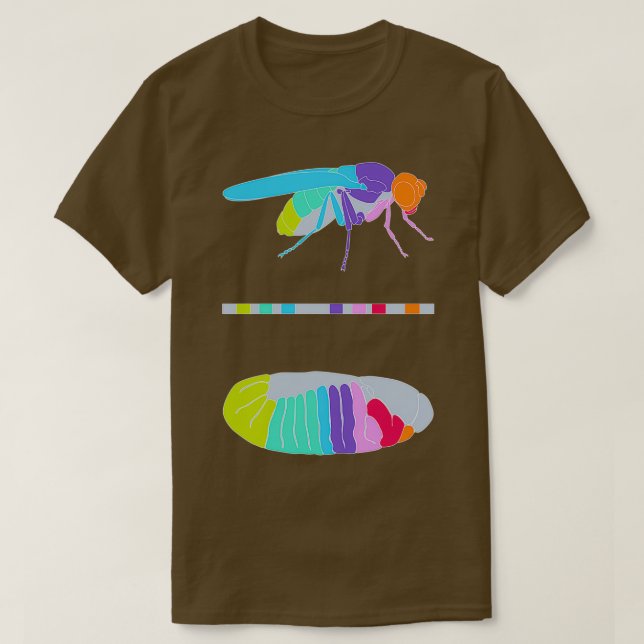Drosophila Hox Genes T-Shirt (Design Front)
