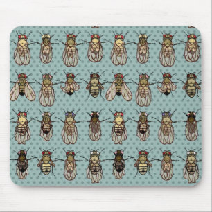 Drosophila mutants mouse pad