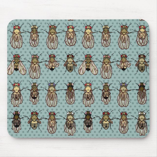Drosophila mutants mouse pad (Front)