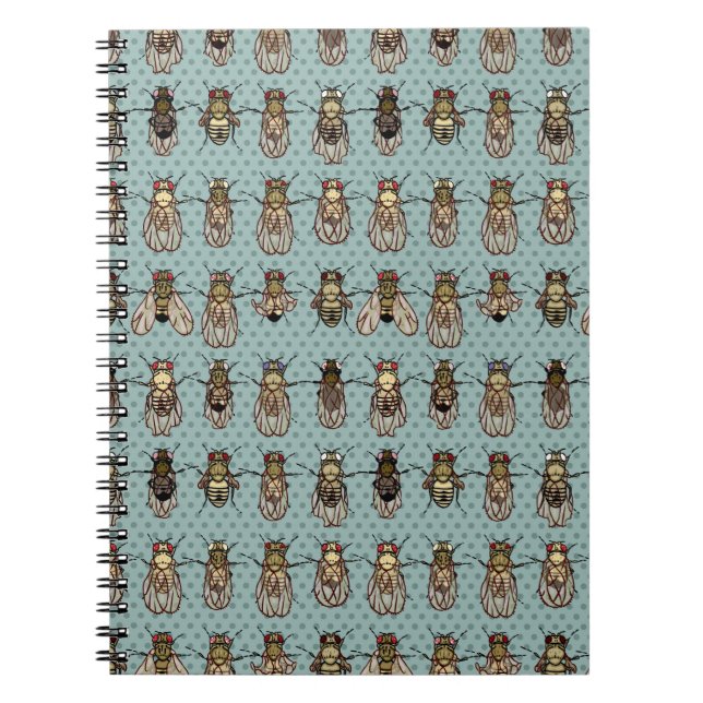 Drosophila mutants notebook (Front)