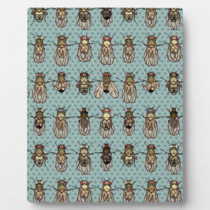 Drosophila mutants plaque