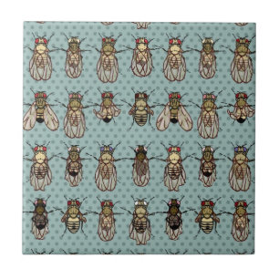 Drosophila mutants tile