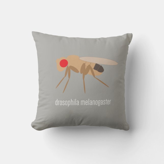 Drosophila Pillow (Front)