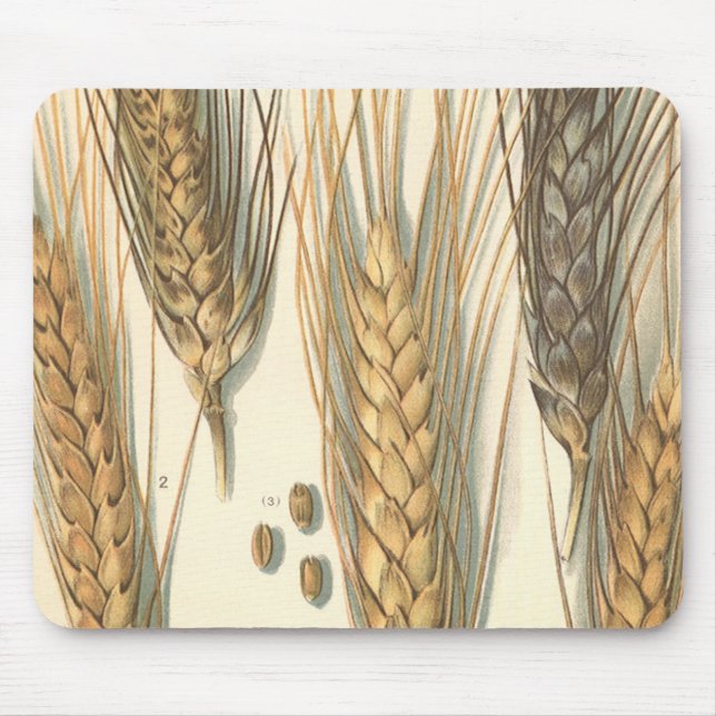 Drought Resistant Wheat Plant, Vintage Agriculture Mouse Pad (Front)