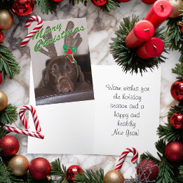 Drowsy Christmas Dog Wearing Glitter Antlers Holiday Card