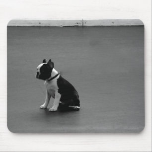 DRU puppy boston terrier Mouse Pad