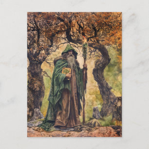 Druid  Celtic Wise Priest of Nature Postcard