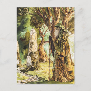Druid  Celtic Wise Priest of Nature Postcard