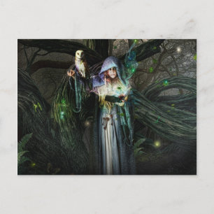 Druid Priestess Postcard