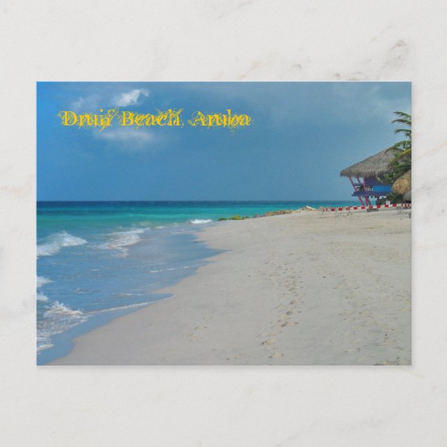 Druif Beach Aruba Postcard (Front)