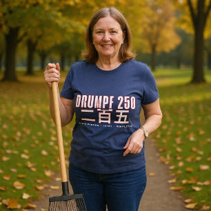 Drumpf 250 二百五 : Stupid Person Idiot Simpleton Tri-Blend Shirt