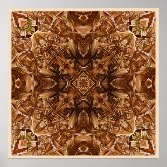 Dry Corn Husks Abstract 16 Poster (Front)