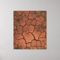 dry, cracked ground