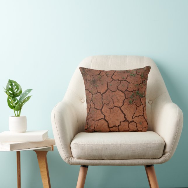 dry, cracked ground cushion (Chair)