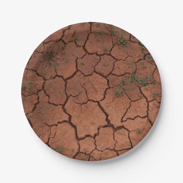 dry, cracked ground paper plate (Front)