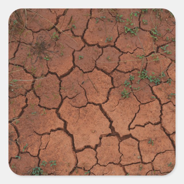 dry, cracked ground square sticker (Front)