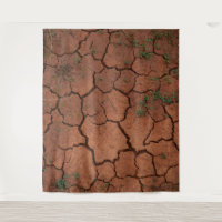 dry, cracked ground