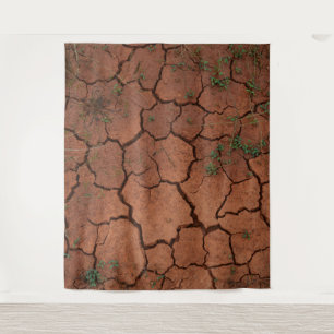dry, cracked ground tapestry