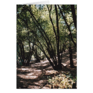 Dry Creek Road