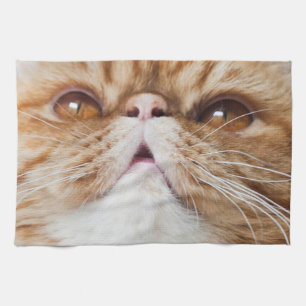 DrY DA DiShEs! Tea Towel