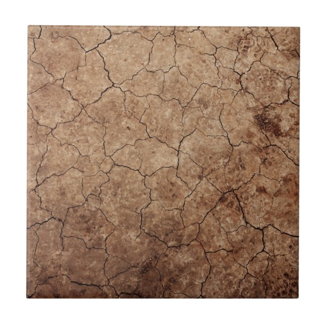 Dry Earth Tile (Front)