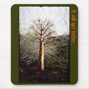 Dry Ferula Plant Mouse Pad