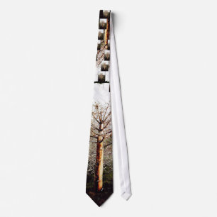 Dry Ferula Plant Tie