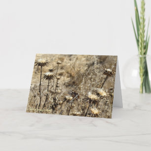 Dry Grass Card