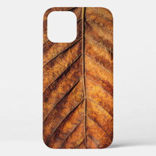 Dry leaf: natural texture background. iPhone 12 case