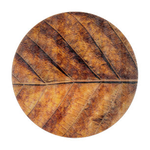 Dry leaf: natural texture background. cutting board