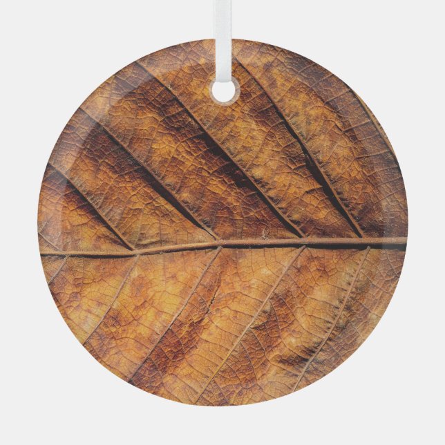 Dry leaf: natural texture background. glass tree decoration (Front)