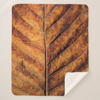 Dry leaf: natural texture background. sherpa blanket