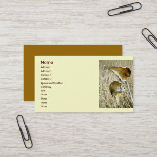 Dry Milkweed Pods Business Card