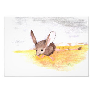 Dry Mouse Photo Print