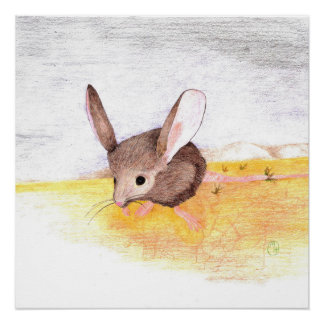 Dry Mouse Poster