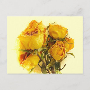 Dry Roses Postcard