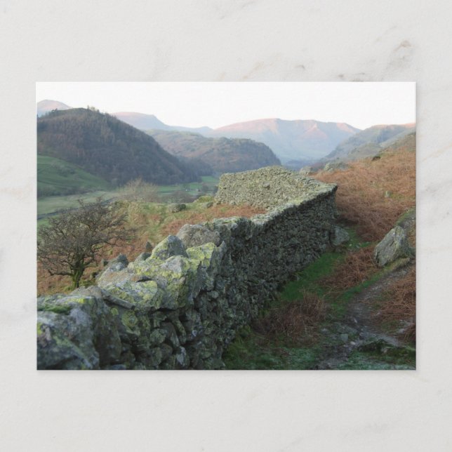 Dry-Stone Wall above Thirlmere Postcard (Front)