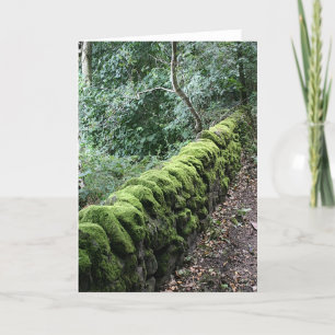 Dry stone wall covered in Moss Card