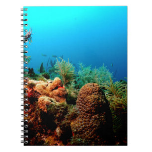 Dry Tortugas National Park, Coral Reef, Florida Spiral Notebook