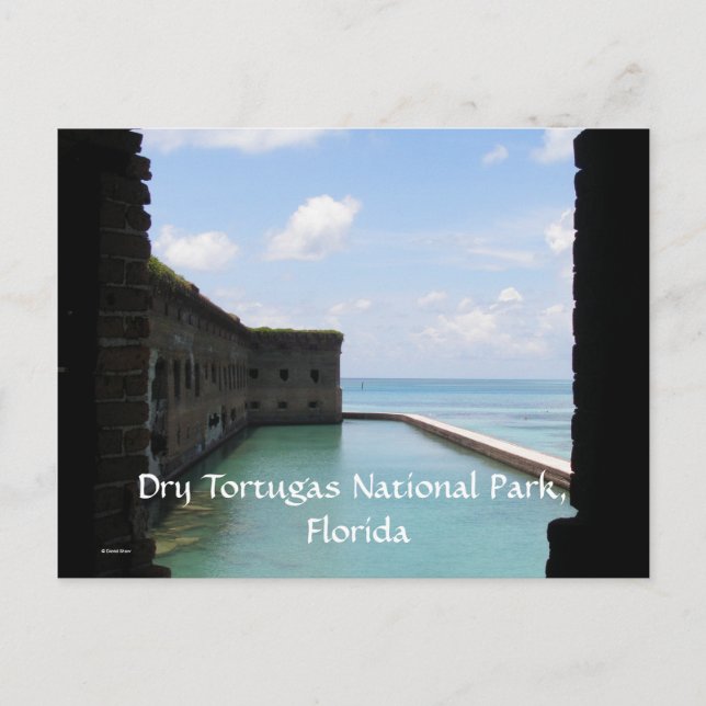 Dry Tortugas Postcard (Front)