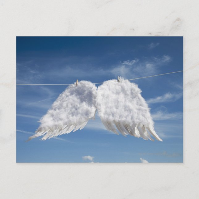 Drying angel's wings. postcard (Front)