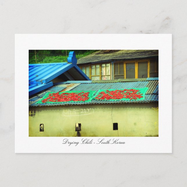 Drying Chilli on a rooftop - Southkorea Postcard (Front)