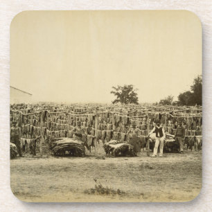 Drying leather, Argentina (albumen print on card) Coaster
