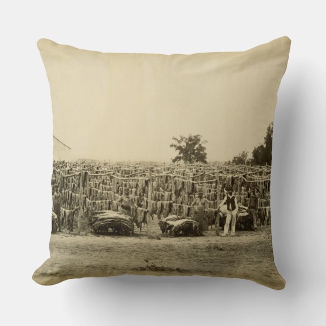 Drying leather, Argentina (albumen print on card) Cushion (Front)