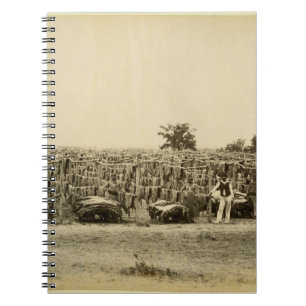 Drying leather, Argentina (albumen print on card) Spiral Notebook