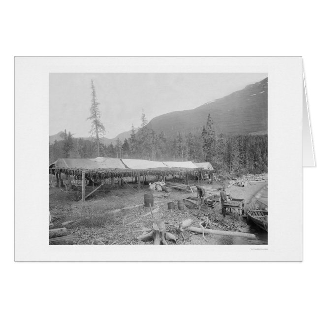 Drying Salmon In Alaska 1915 (Front Horizontal)