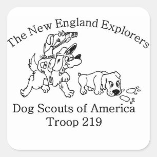 DSA Troop 219 stickers